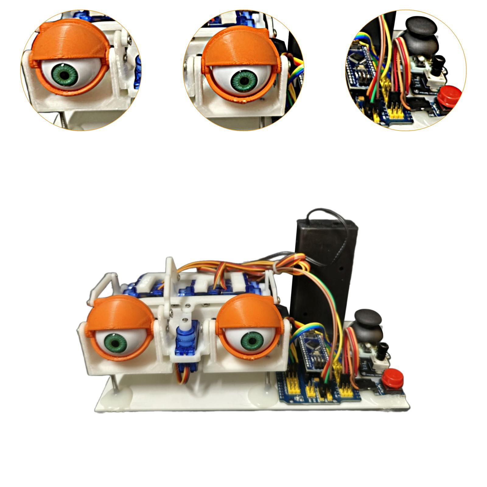 Animatronic Eyes for Stem Educ - Science Project Kit 评论和价格