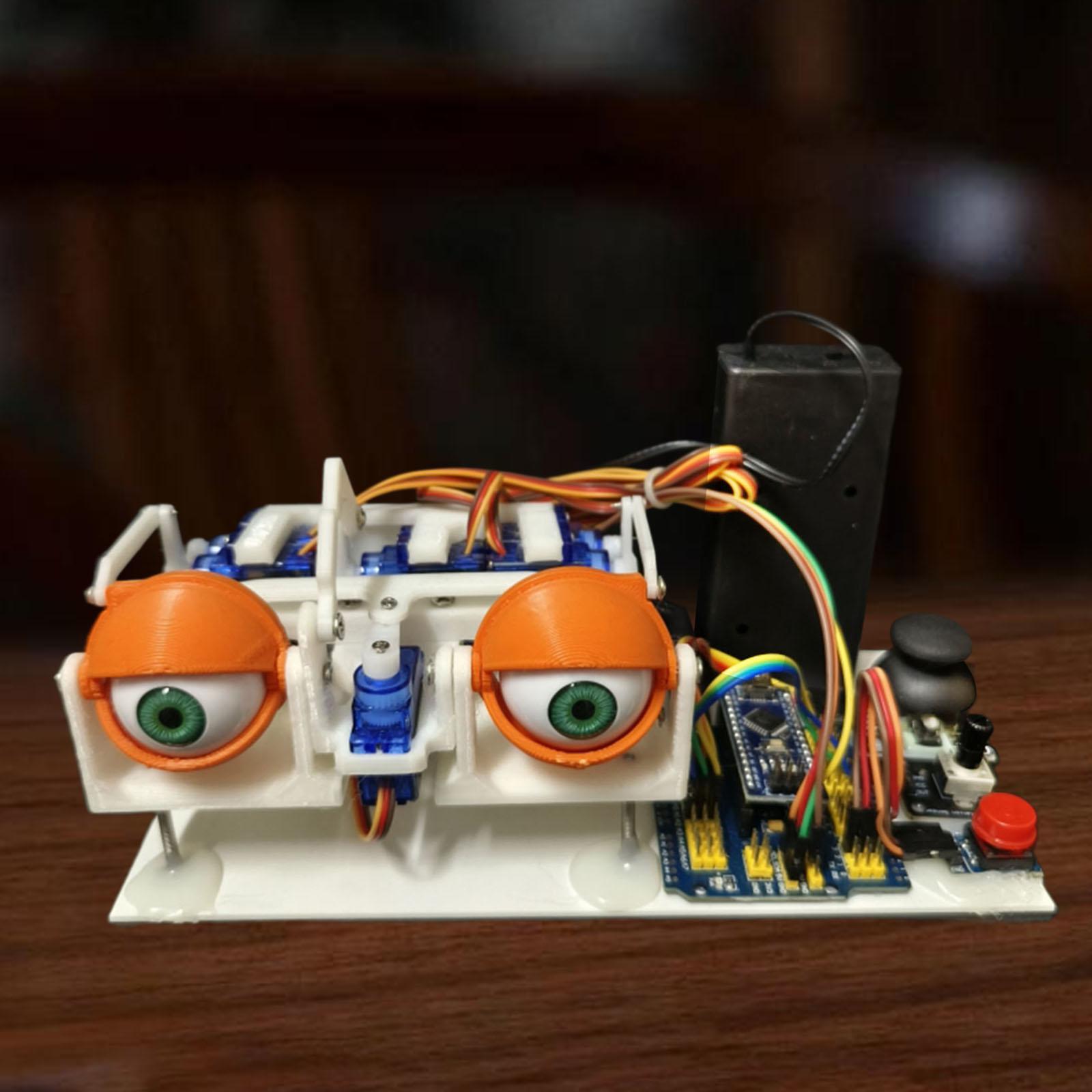 Animatronic Eyes for Stem Educ - Science Project Kit 评论和价格